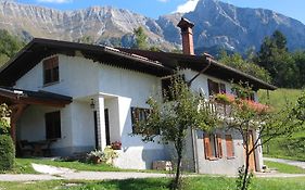 Tourist Farm Zvanc